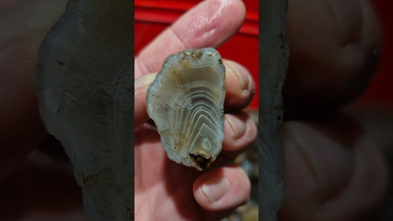 Agate hunting results from Ferryden - 30th Nov 2025. 