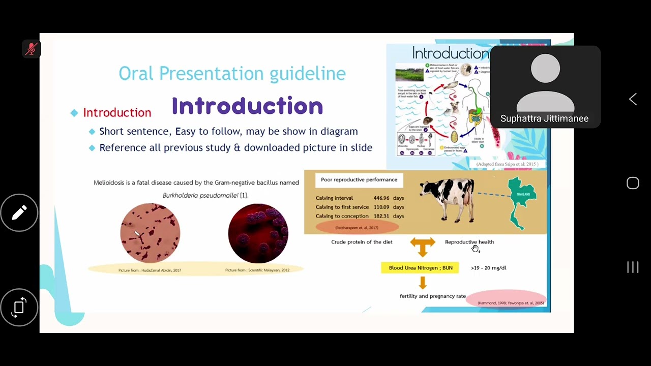 Research II ทำสไลด์และโปสเตอร์