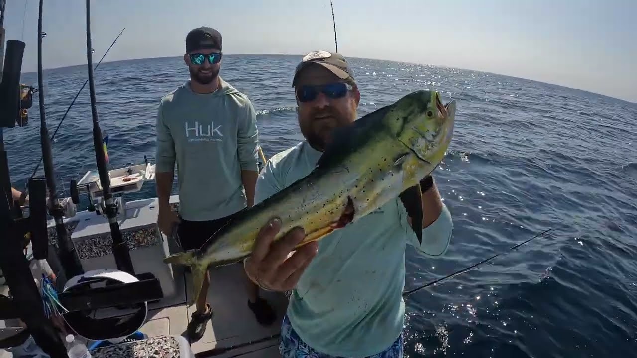 Catching Mahi, Cobia and Grouper at Topsail Island NC