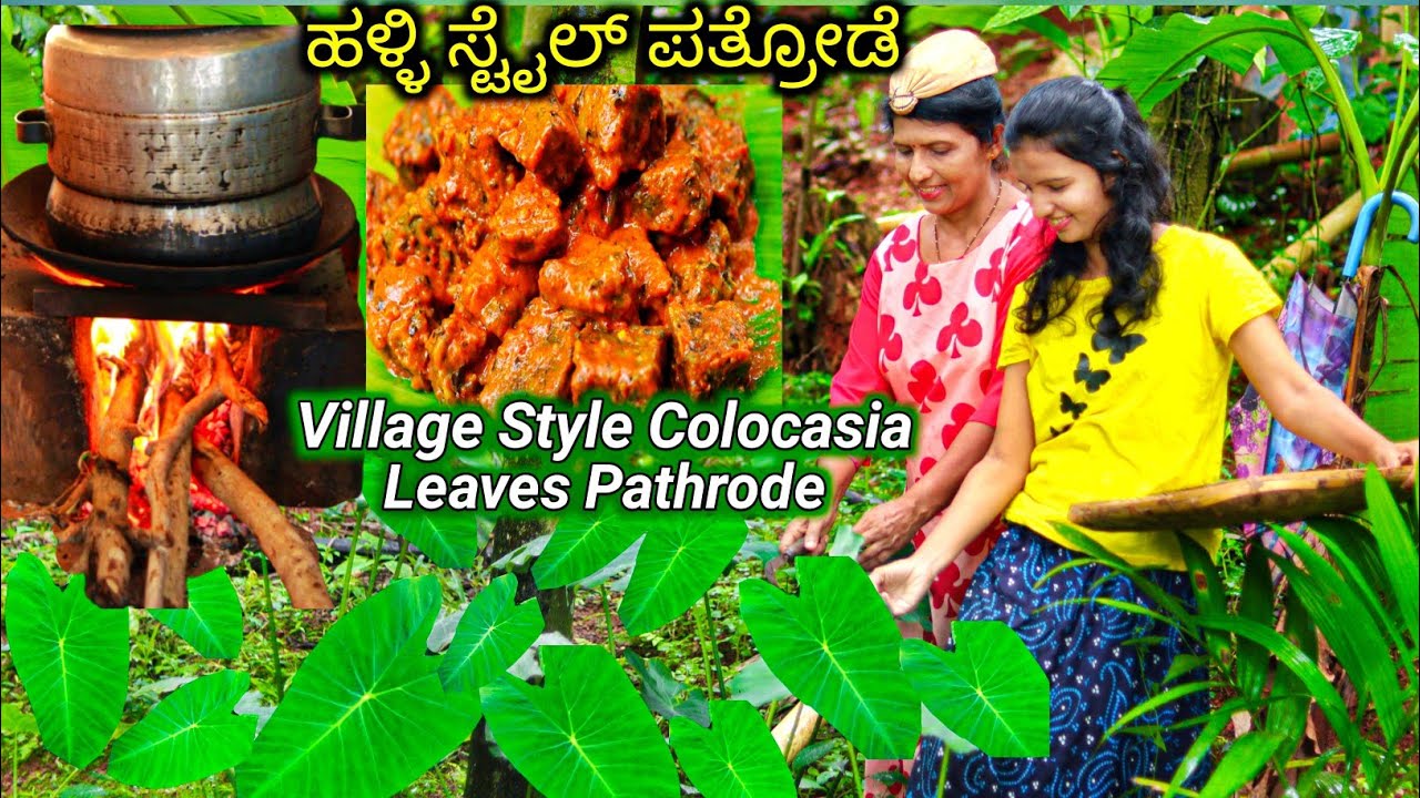 ಹಳ್ಳಿ ಸ್ಟೈಲ್ ಚಿಕನ್ ಹಾಕಿದ ಕೆಸುವಿನ ಎಲೆಯ ಪತ್ರೋಡೆ ಹೀಗೆ ಮಾಡಿ | Village Sytle Colocasia leaves pathrode