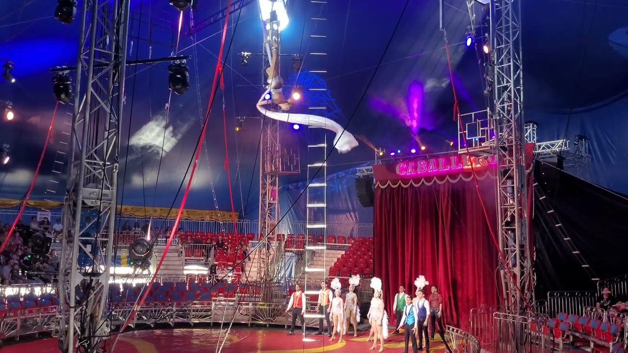 Circus 🎪 Caballero 🎪 🎪 🎪