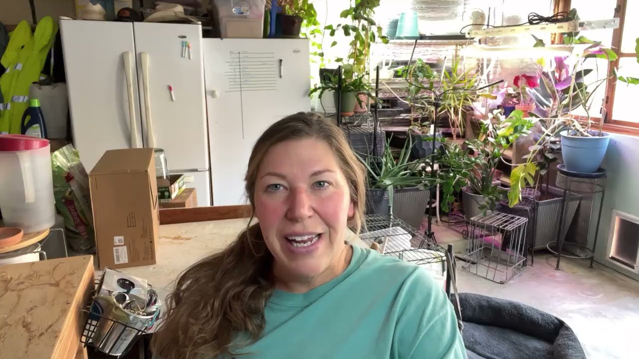 Homestead chat-Eating Gluten Free, Some wisdom from a "from scratch foodie"
