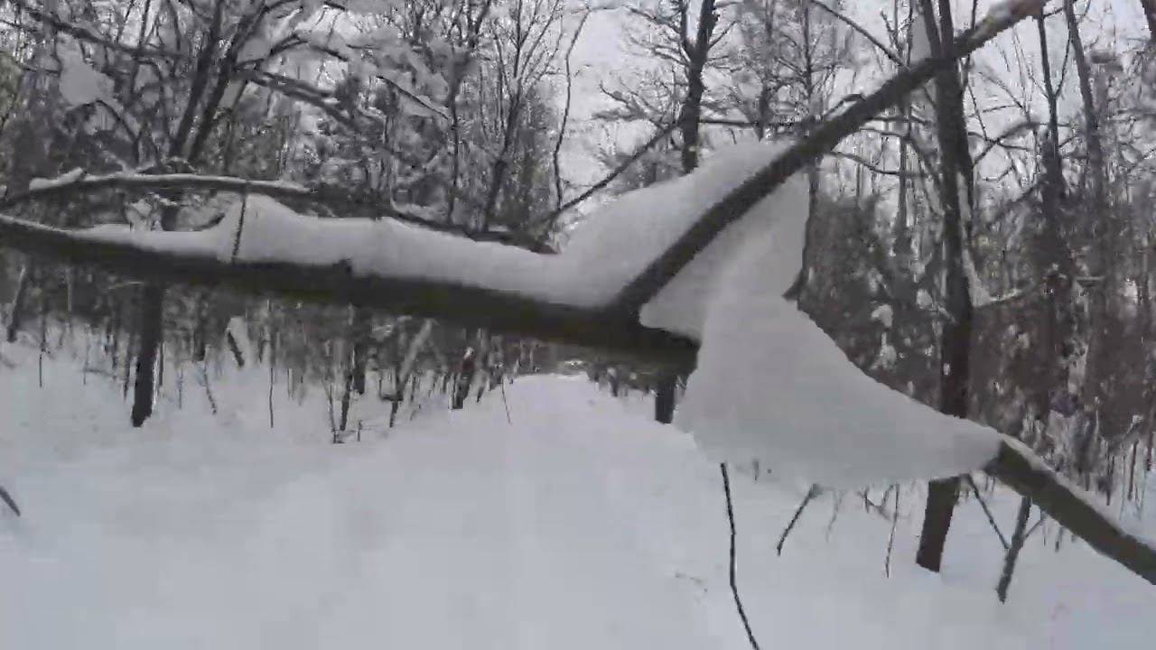 ⛷ Часть 4 прогулка на лыжах. В конце обнаружил чёрный пакет из него ноги 👣 наверное ребёнка убитого