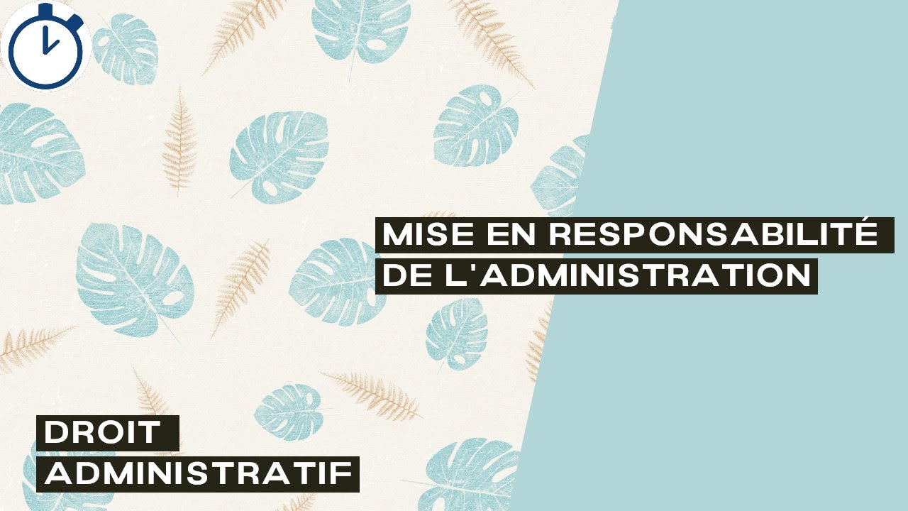 La Mise en Responsabilité de l'Administration : [Droit Administratif]