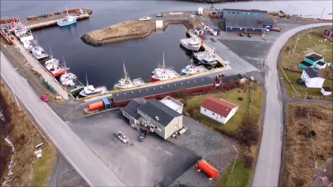 BRANCH CAPE SHORE NEWFOUNDLAND & LABRADOR