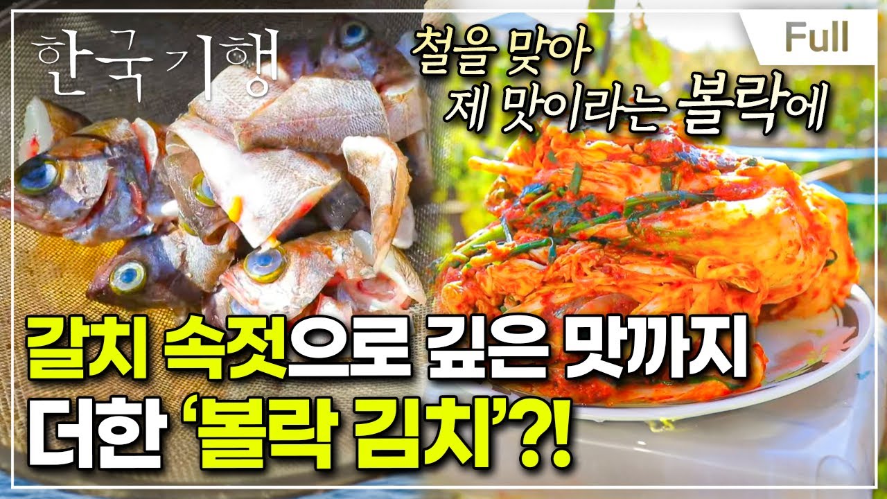 [Full] 한국기행 - 김치 대첩 제1부 별미 김치 맛보실래요?
