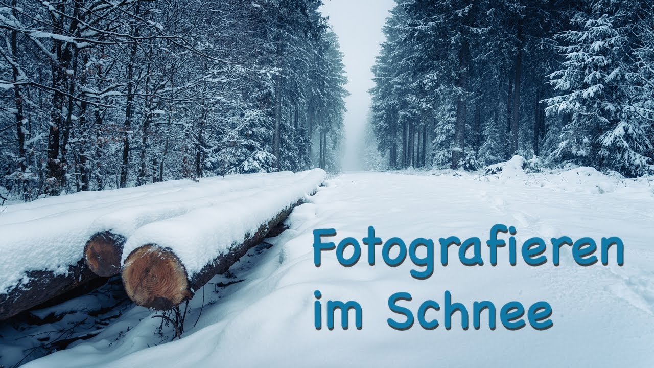Fotografieren im Schnee  |  Winter  |  Wald  |  Landschaftsfotografie  |  Tutorial  |  Anleitung  |
