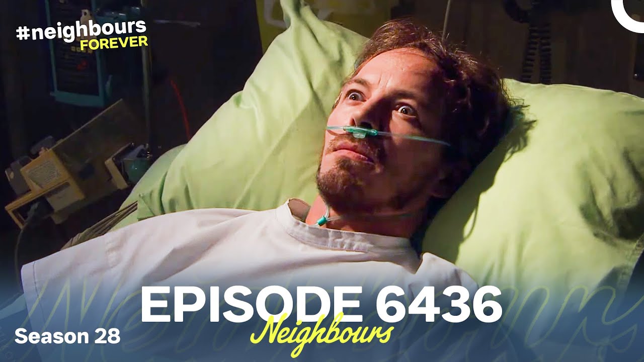 Neighbours Season 28 Episode 6436 (2012)