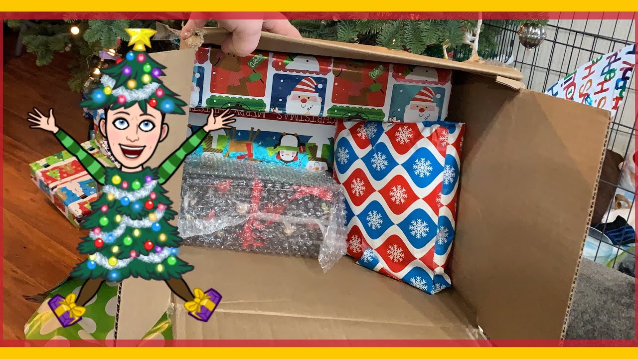 AMAZING Box Opening | nlovewithreborns2011