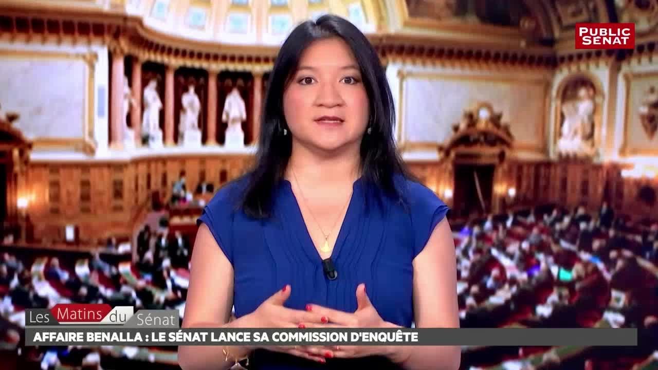 Mixit&eacute; sociale : les d&eacute;bat se poursuivent sur la loi ELAN - Les matins du S&eacute;nat (23/07/2018)