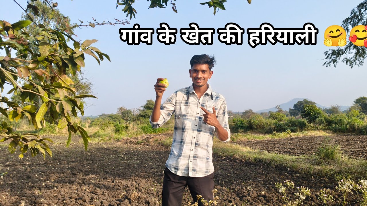 Gamit|| गांव की खेत की हरियाली ☘️🌱🌻