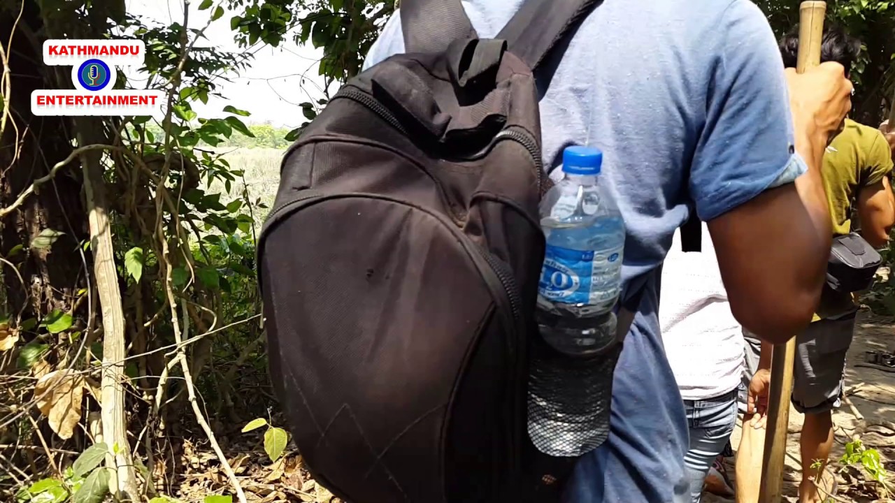 Visit Bardia National Park | Best National Park in Terai Region of Western Nepal