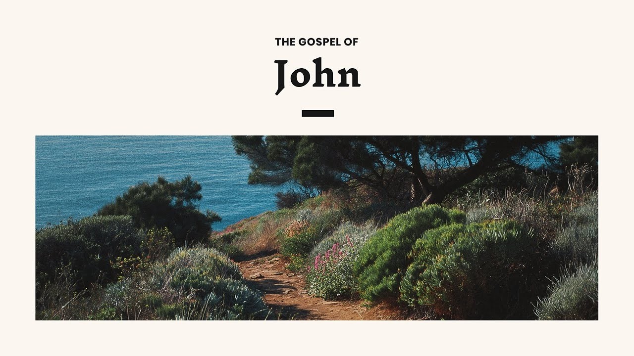 John 6: 48-71 - Checkpoint
