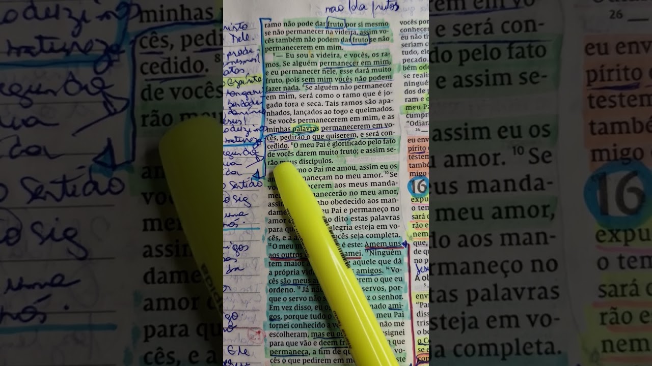 João 15. Lendo a bíblia em um ano.  2026.