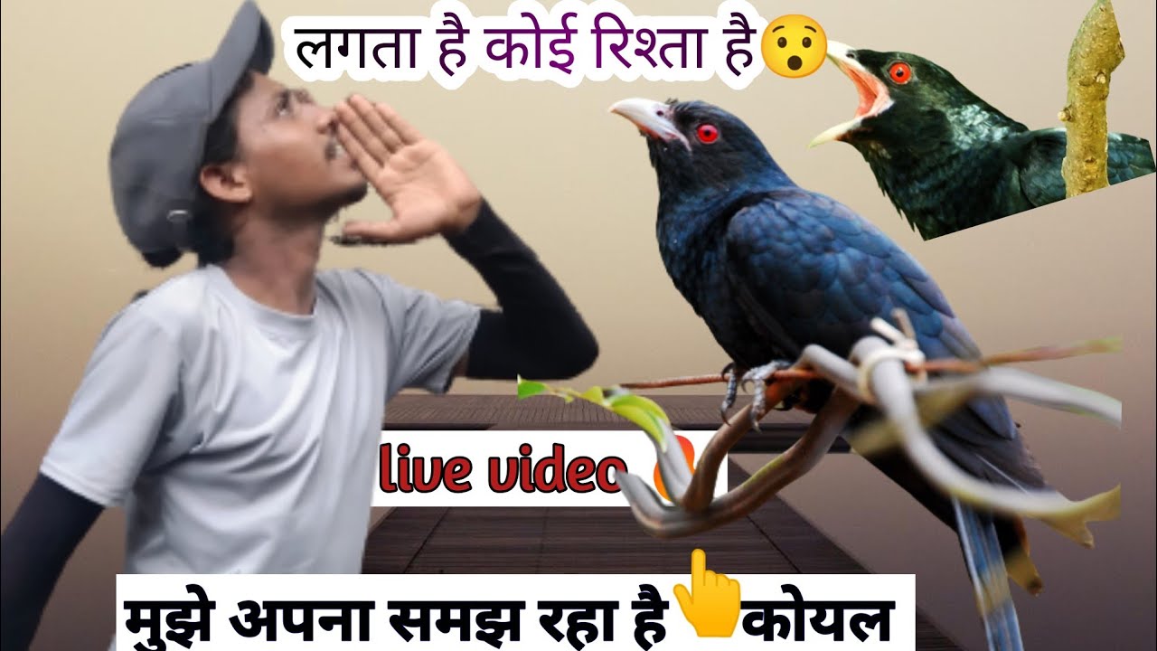 पता नहीं मेरा और कोयल का क्या रिश्ता है🤫