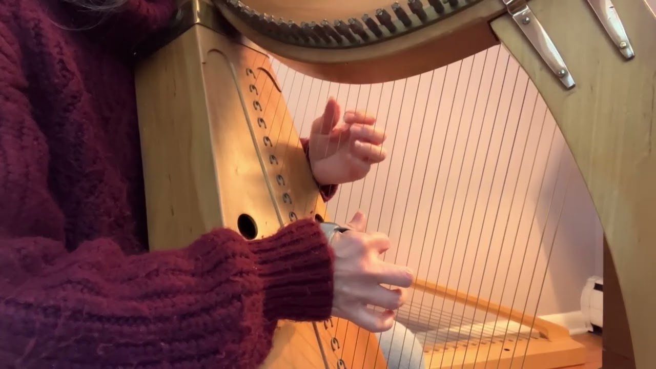 kaniad san silin (kaingk x) / kaniad llywelyn dylynior (kaingk xiv)