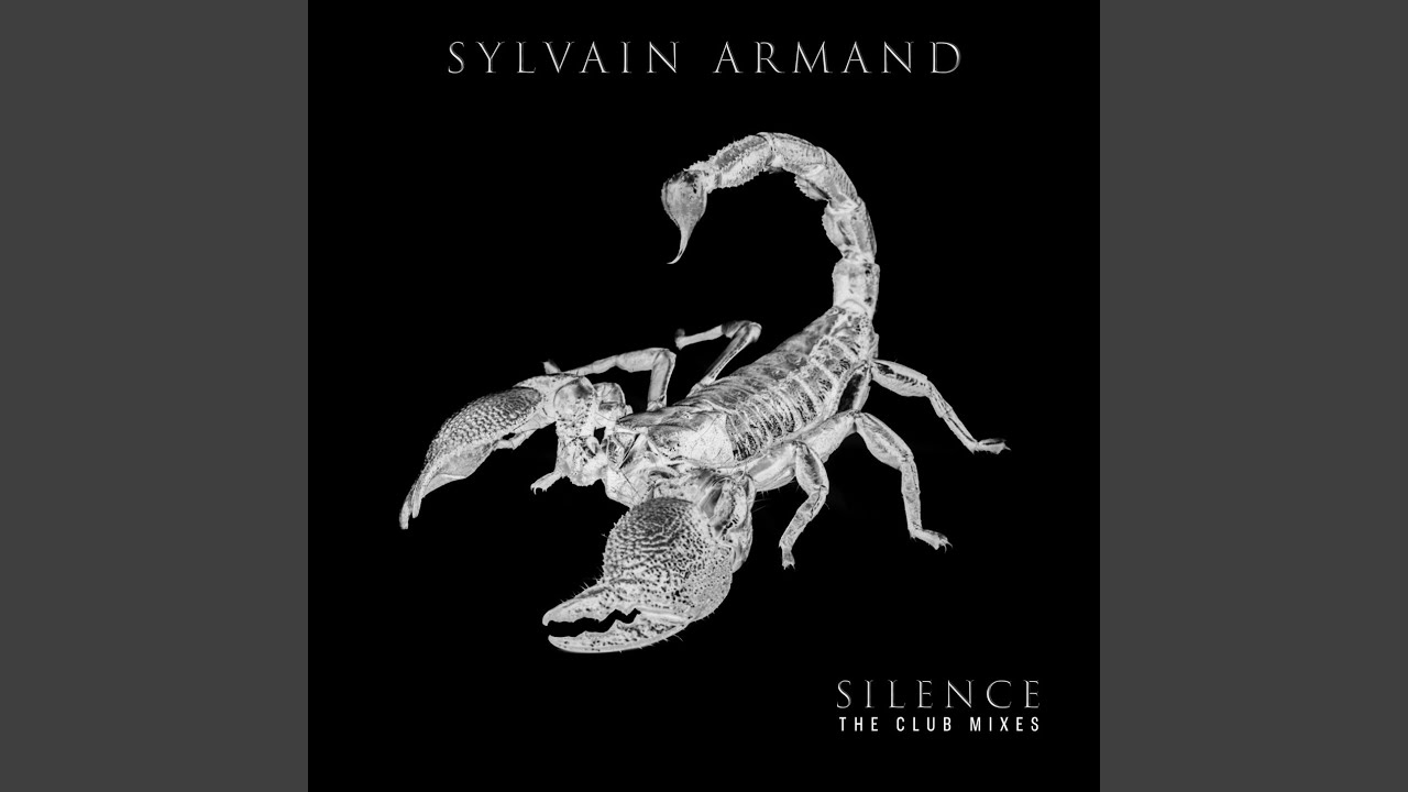 Silence (VIP Mix)