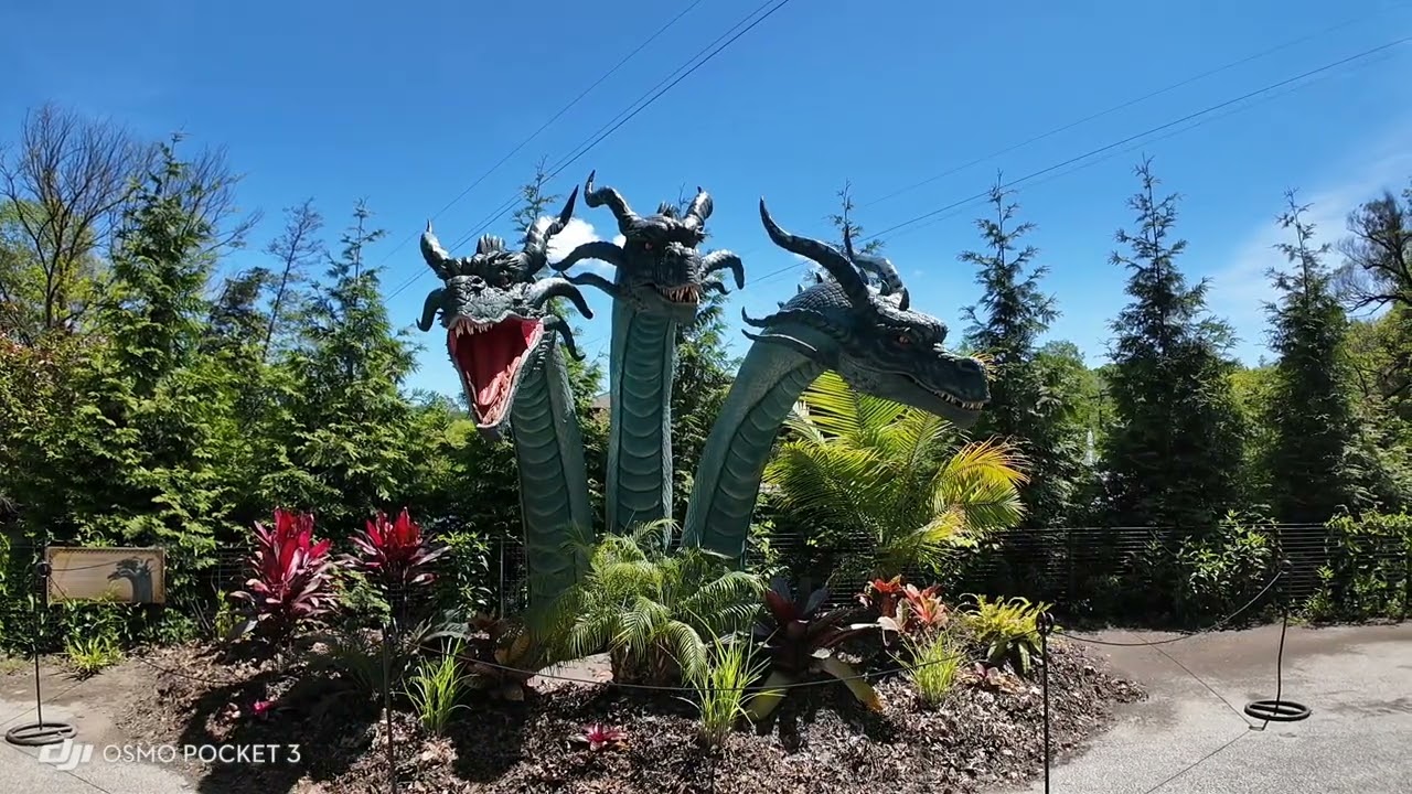 Cleveland Zoo Memorial Day Dragon's 2025
