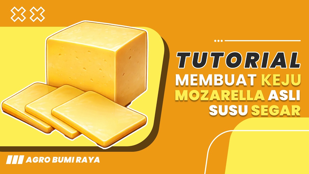 Cara Membuat Keju Mozzarella Asli dari Susu Segar