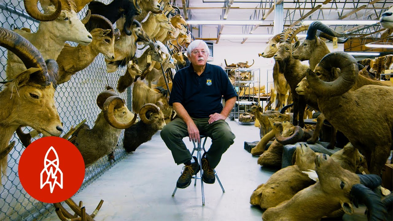 Solving Crimes Against Animals With Forensic Experts
