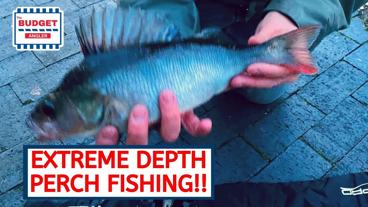 London Docks Fishing - ULTRA DEEP | Slider Float | Drop Shot