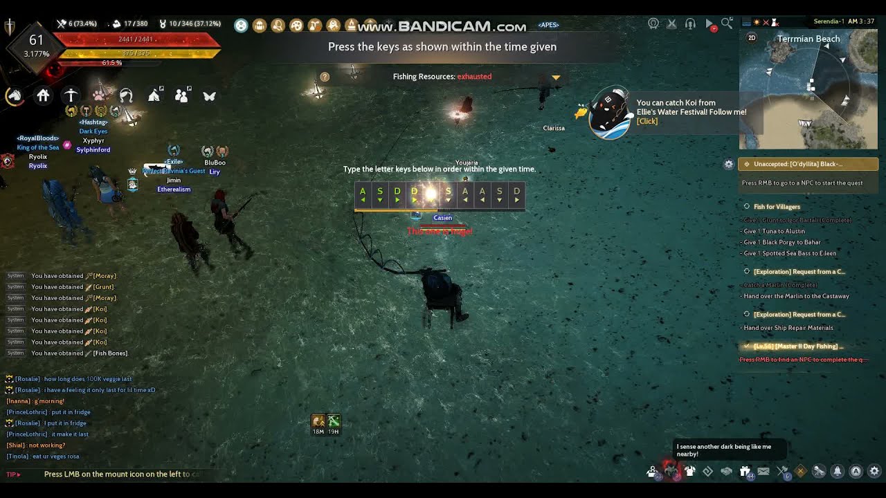Golden Sea Perch + Blue Bat Star + Yellow Corvina Full letters. No 3.