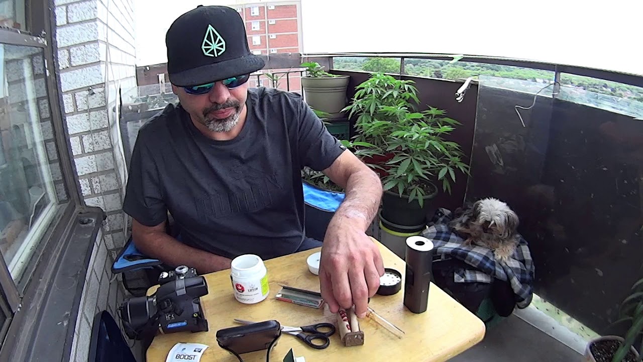 EDISON - City Lights (Critical Kush)