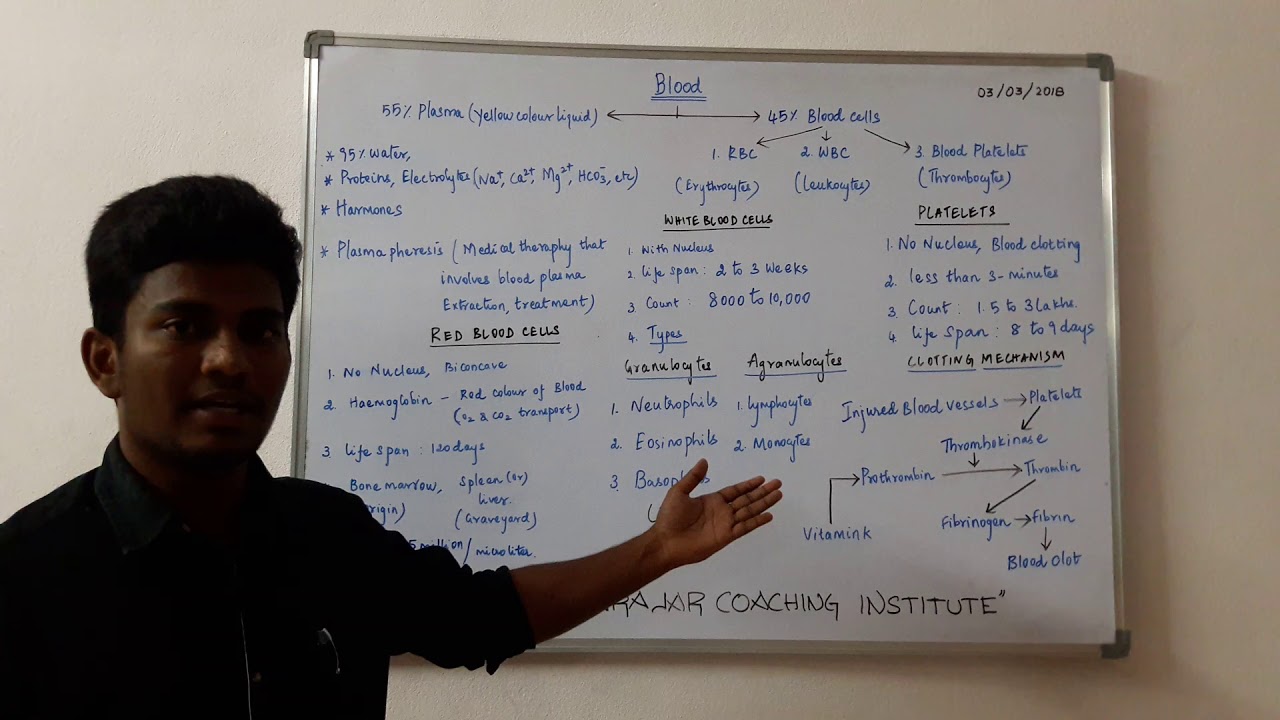 Blood - Composition of Blood , Blood cells and Plasma Explained in detail for Tnpsc , RRB Exams