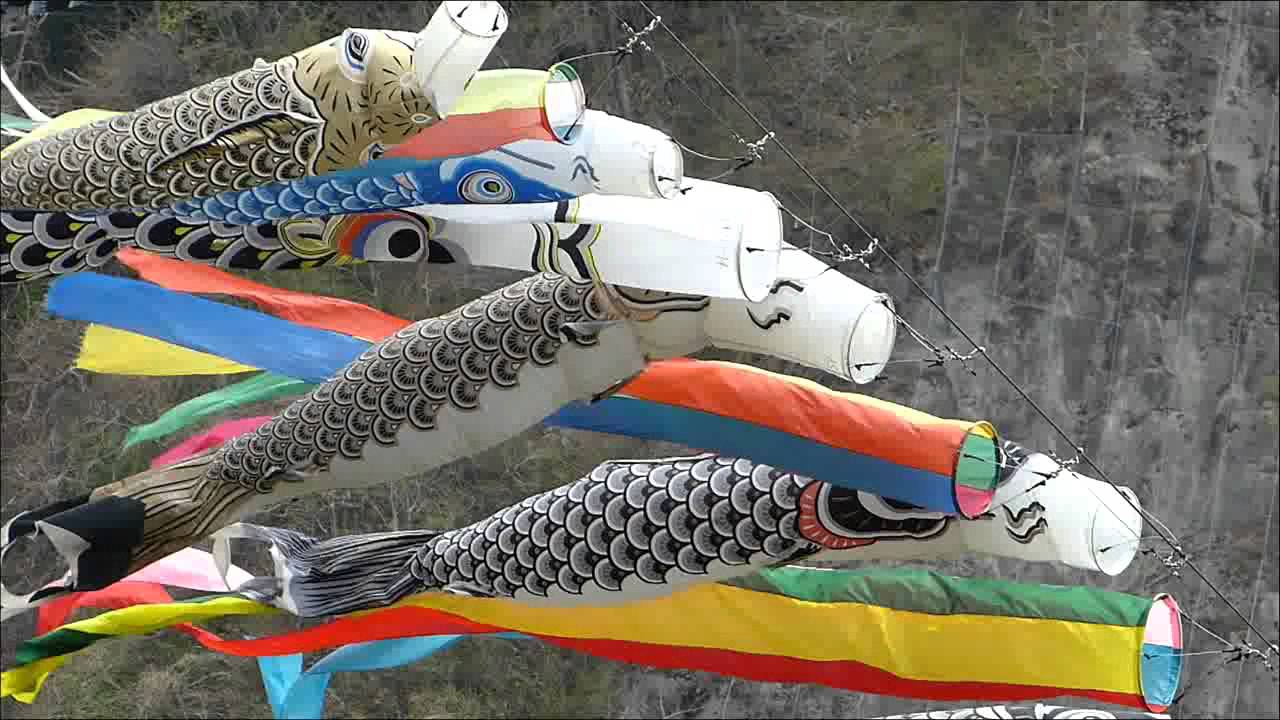 KOINOBORI　こいのぼり