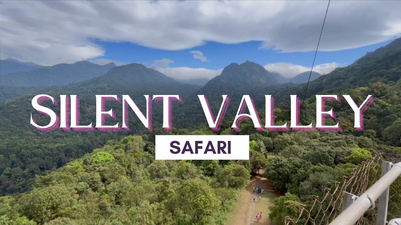 SILENT VALLEY SAFARI | Kerala’s Last Untouched Rainforest | Wildlife & Nature Experience