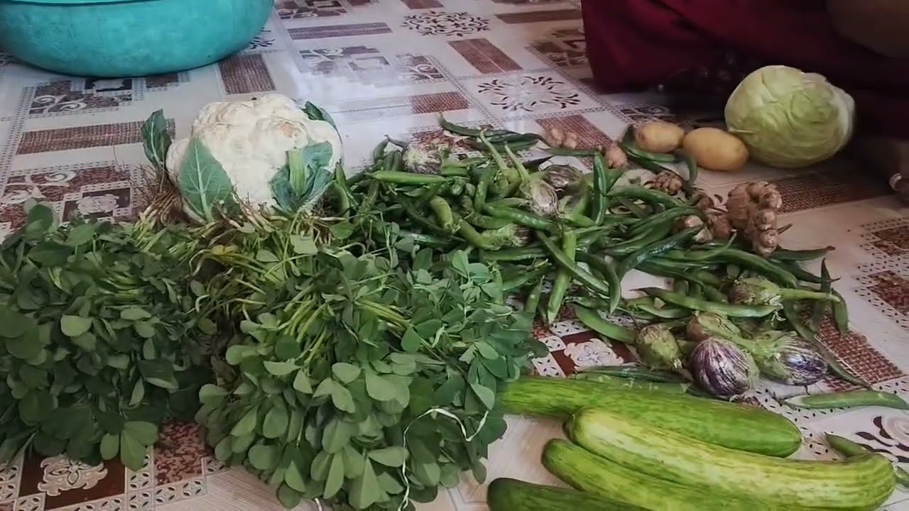 मामानी गावातनं आणला भरपूर भाजीपाला 