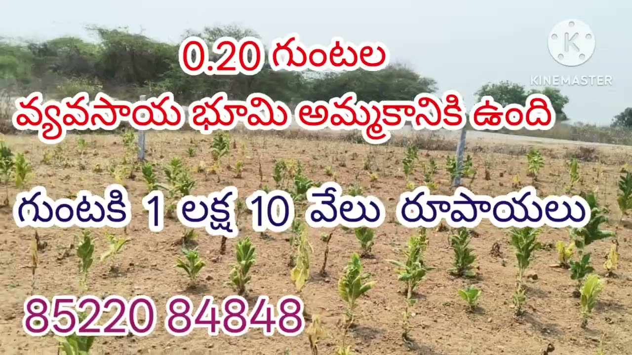 0.20 గుంటల వ్యవసాయ భూమి జనగామ జిల్లా రఘునాథపల్లి మండలం NH నుండి 6 km దూరంలో