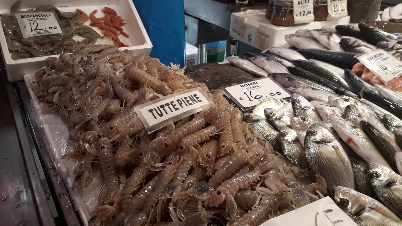 Fish Market - Chioggia - Venice Land - Italy