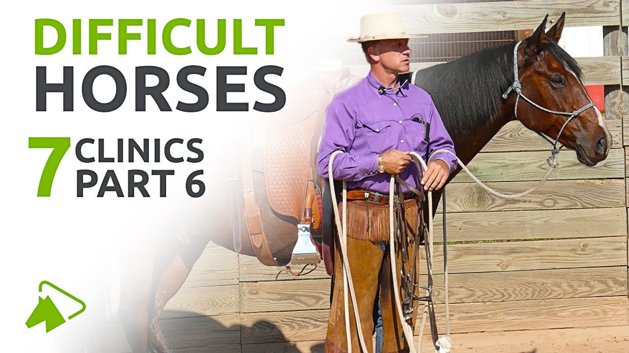 How to Train Difficult Horses  | 7 Clinics with Buck Brannaman | wehorse