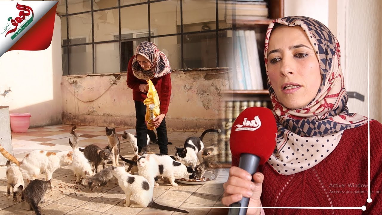 مغربية وهبت حياتها للدفاع عن القطط وإيوائهم في منزلها..  تعرف على قصة حبيبة