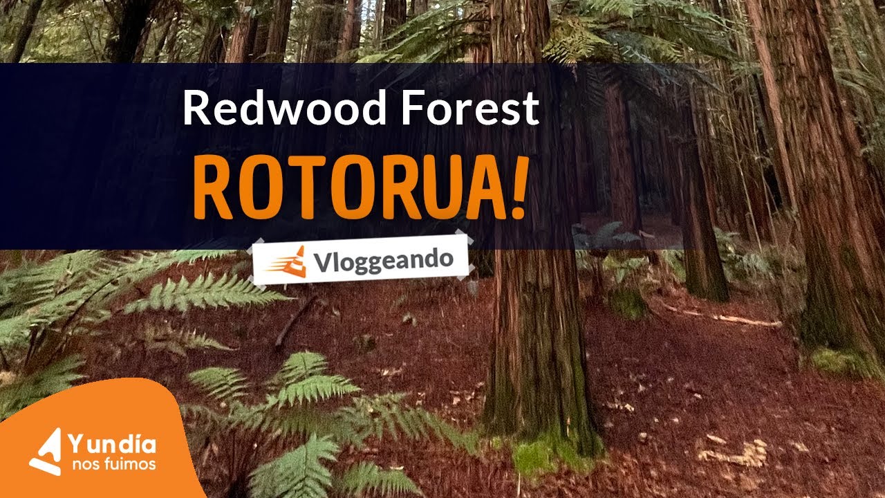 [Episodio 2] Caminando Nueva Zelanda: Reedwood Forest, Rotorua 🍂