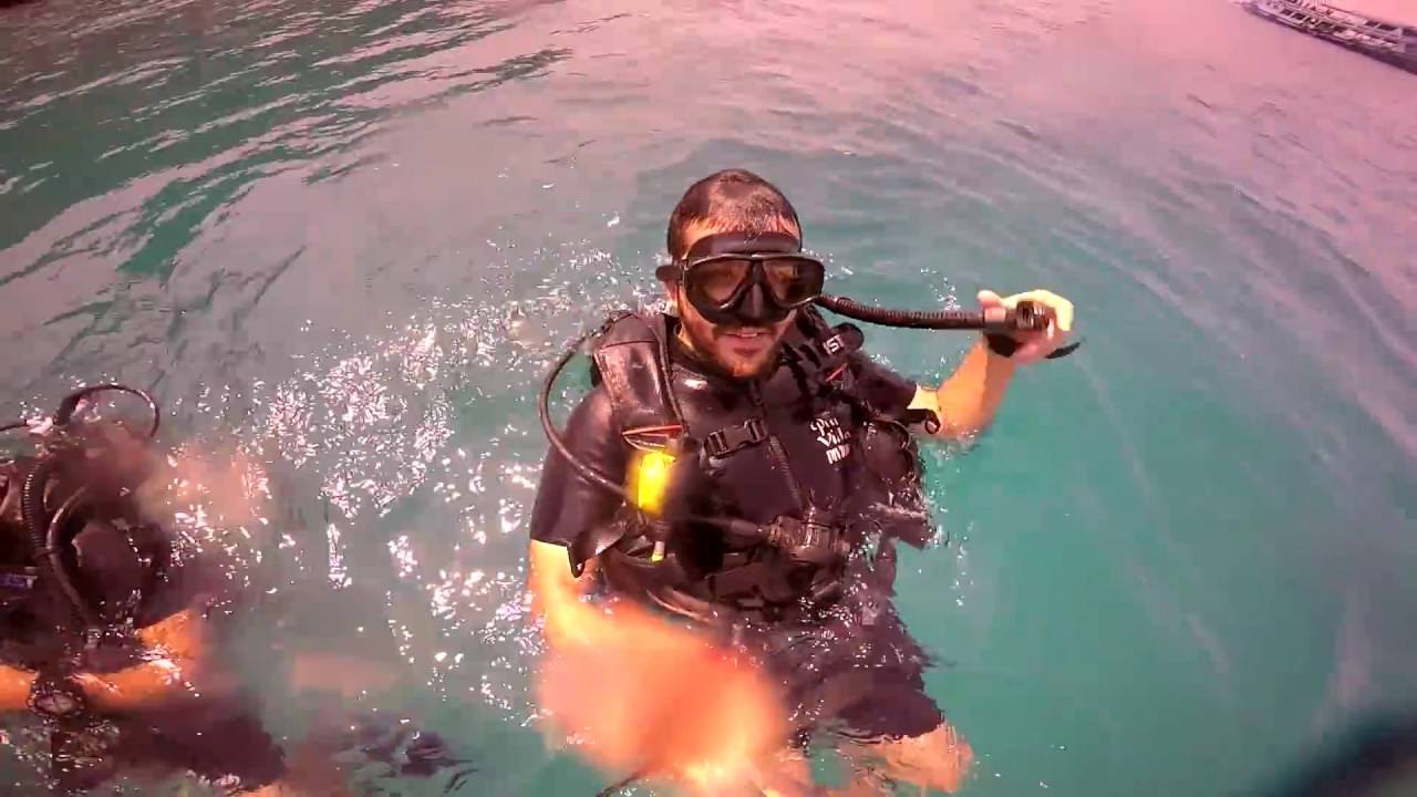 BUCEO EN KOH TAO CON PURA VIDA