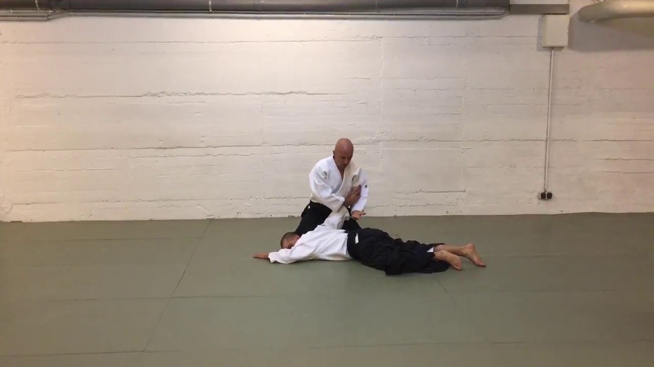 3. Aikido-Grundlagen-Tutorial: sankyo