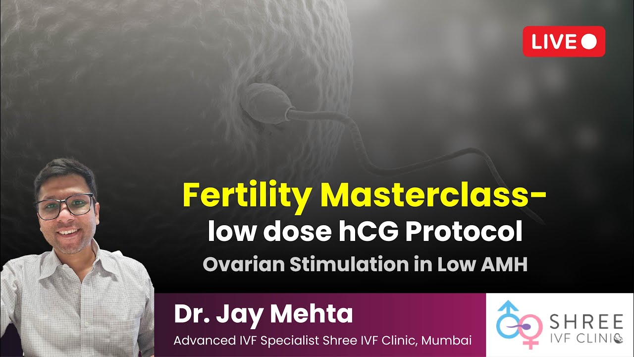 Fertility Masterclass 1 - low dose hCG Protocol | Ovarian Stimulation Protocol | Low AMH