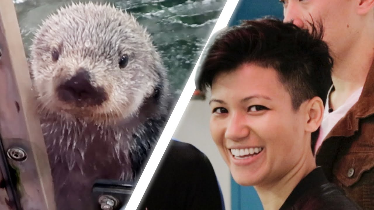We Followed A Marine Animal Trainer For A Day