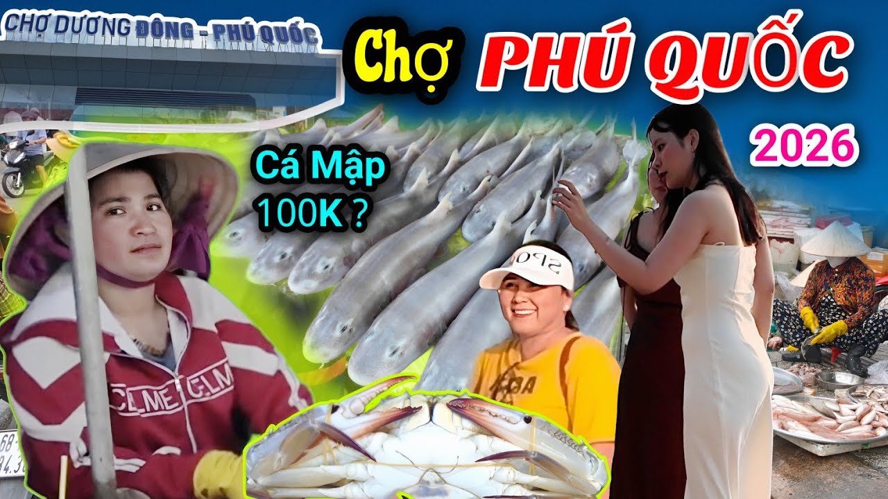Quá Khủng Hải Sản Chất Đống Chợ Dương Đông Phú Quốc Giá Có Rẻ Hơn Vũng Tàu 