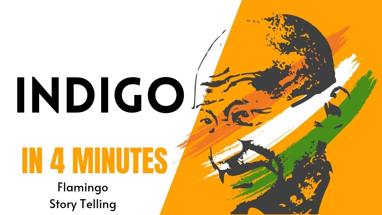 INDIGO in 4 Minutes | Flamingo Story telling | Louis Fischer.