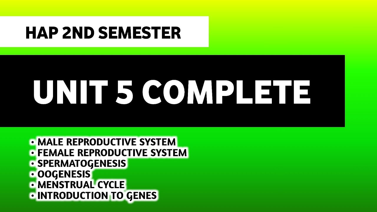 Anatomy & Physiology Of Reproductive System | Unit 5 HAP 2nd Semester