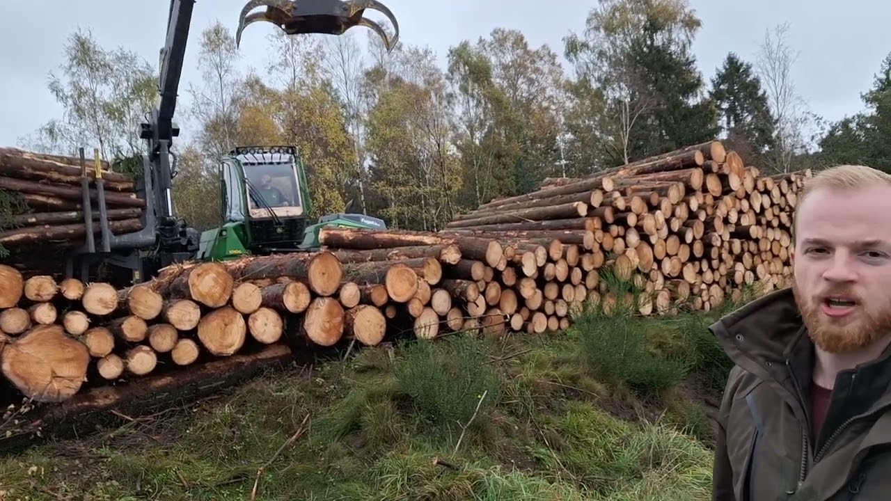 Skovning på Bornholm