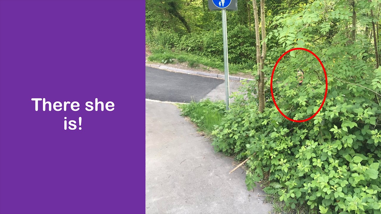 Hide & Seek - Monday 18th May 2020