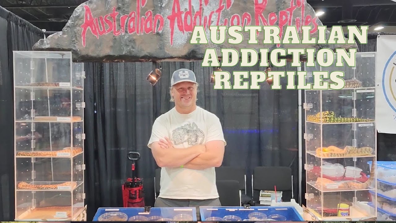 Stimson's python, and more. Justin Julander, Australian Addiction Reptiles.