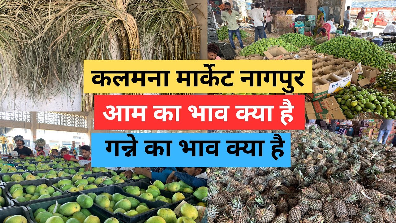 Kalamna Market Mango Ka Nagpur |Wholesale mango/sugarcan Market Nagpur|Wholesale fruit Market Nagpur