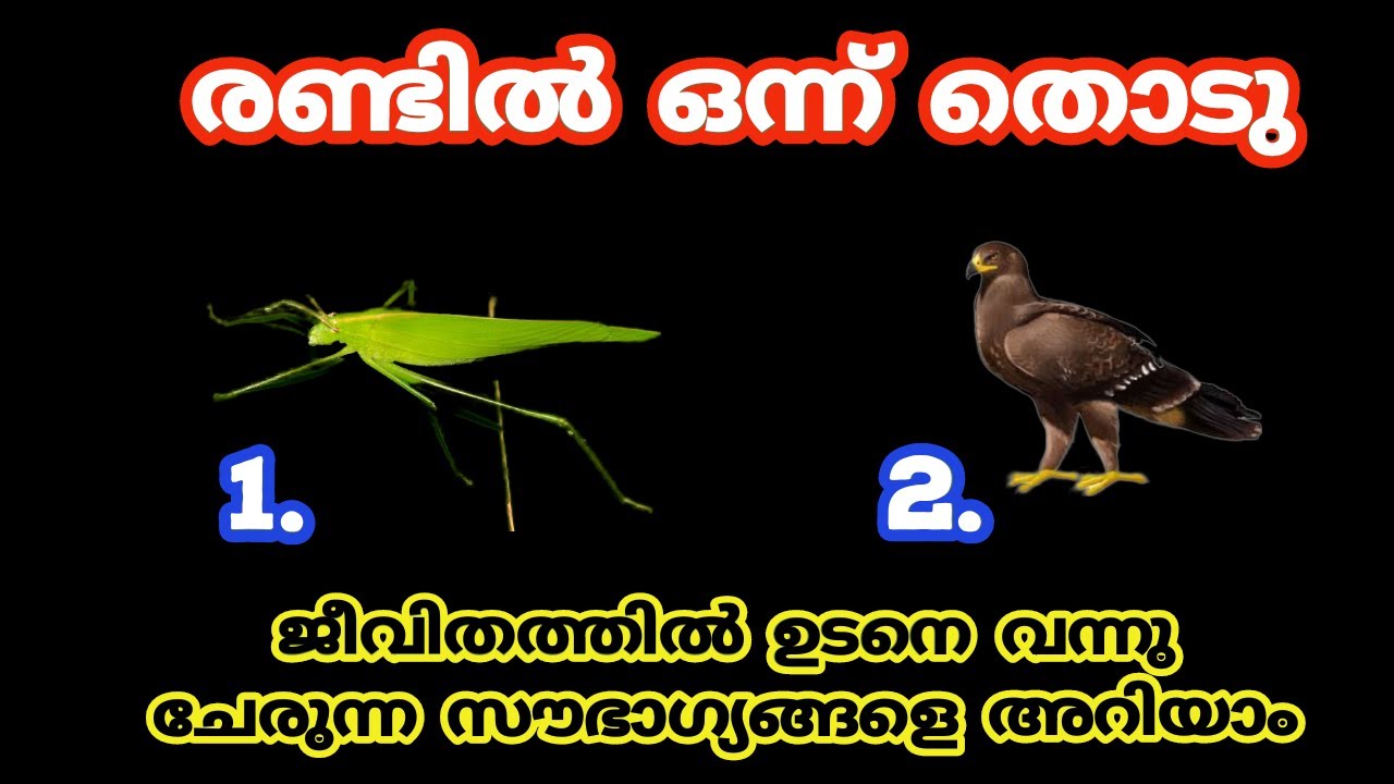 ജീവിതത്തിൽ ഉടനെ വന്നു ചേരുന്ന സൗഭാഗ്യങ്ങളെ അറിയാം