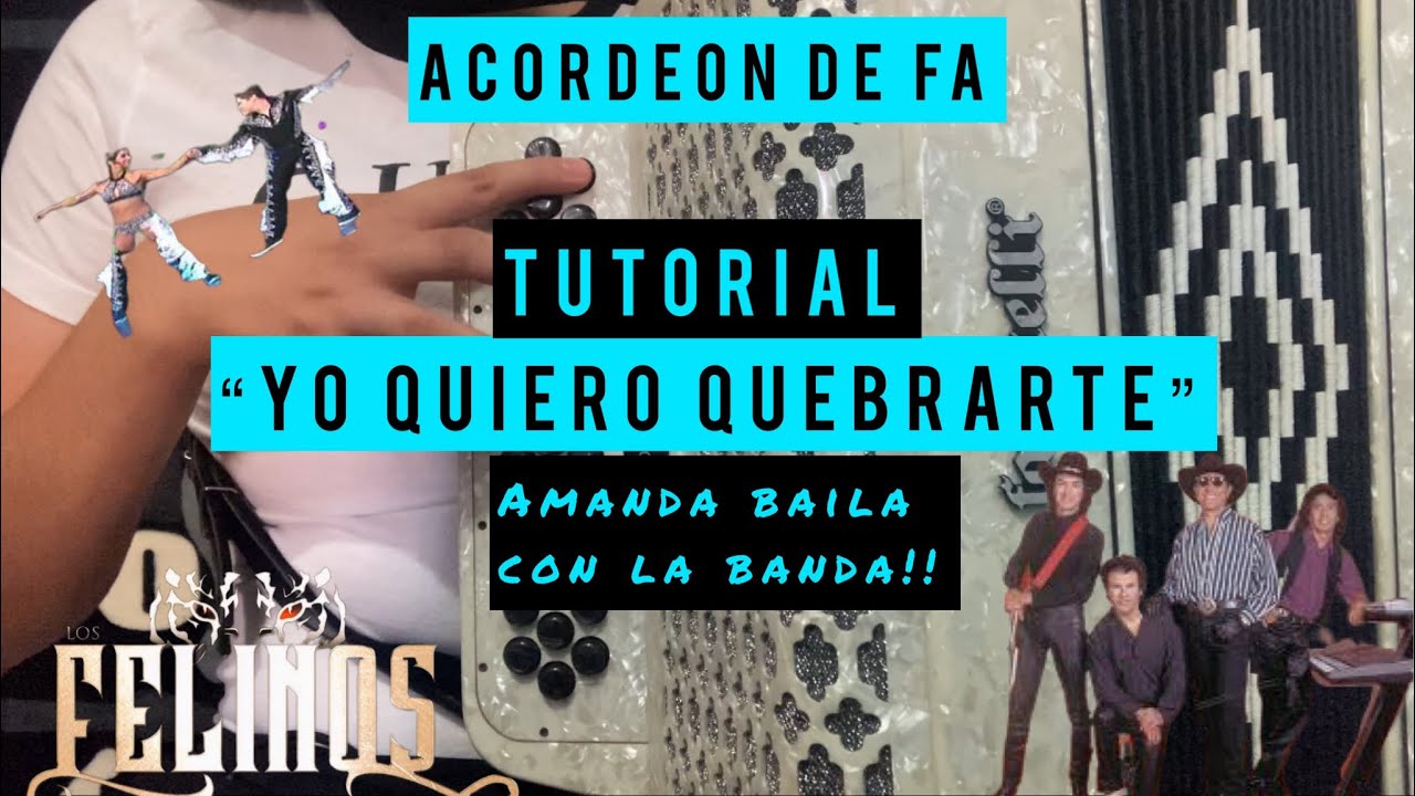 Amanda Baila Con La Banda- Los Felinos Tutorial Acordeón De Fa. #acordeon #tiktok #tutorial #2022