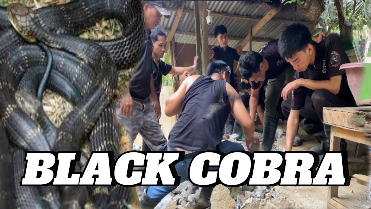MAG ASAWANG JUMBO BLACK COBRA ANG NAMEMERWESYO SA GUMACA QUEZON #cobraprince #cobrateam #cobrarescue